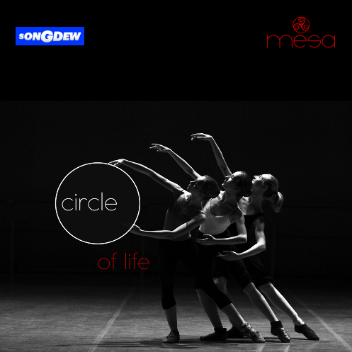 Circle Of Life Circle Of Life