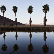 California California